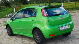 Fiat Punto Punto 2012 Hatchback 5d
