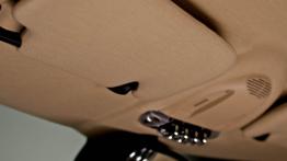 Mini Inspired by Goodwood - obszar nad lusterkiem wstecznym