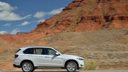 BMW X5 III (2014) xDrive30d - prawy bok