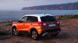 Suzuki Vitara 2015 Rugged - widok z tyłu