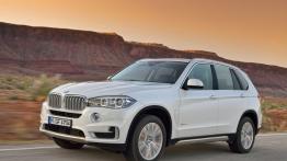 BMW X5 III (2014) xDrive30d - lewy bok