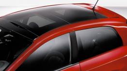 Fiat Punto 2012 - dach