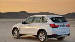 BMW X5 III (2014) xDrive30d - widok z tyłu