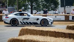 Szybkie ściganie podczas Festiwalu Szybkości w Goodwood