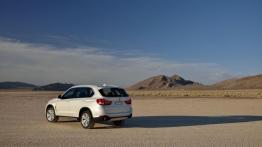 BMW X5 III (2014) xDrive30d - widok z tyłu