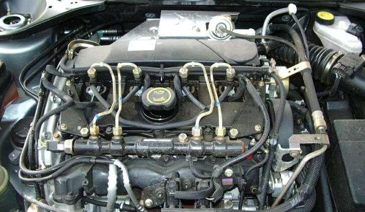 &amp;quot;Rechot&amp;quot; z żyłką sportowca