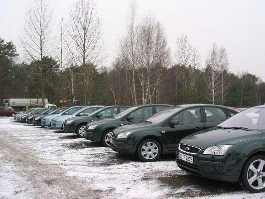 Focusem w zimowym plenerze