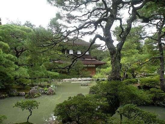 Sushi, sashimi, Toyota, Shinkansen, Fuji i boski wiatr. Motoświat część druga - Japonia