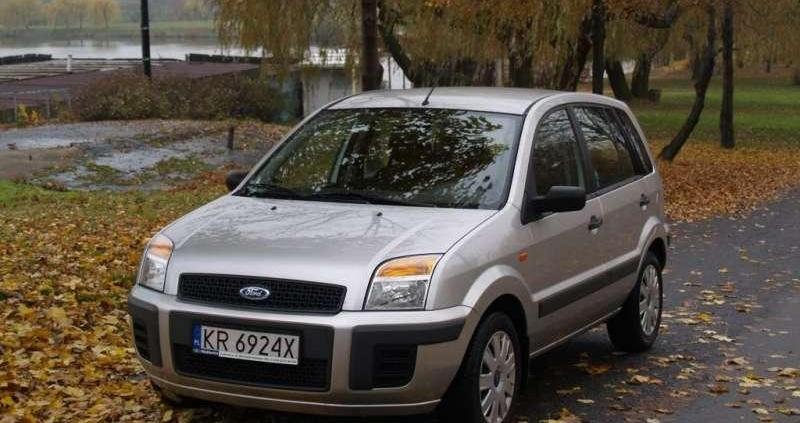 W sam raz do polskiej dżungli