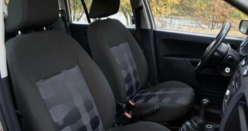 W sam raz do polskiej dżungli