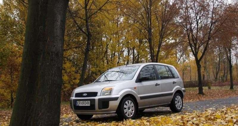 W sam raz do polskiej dżungli