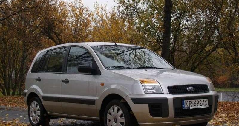 W sam raz do polskiej dżungli