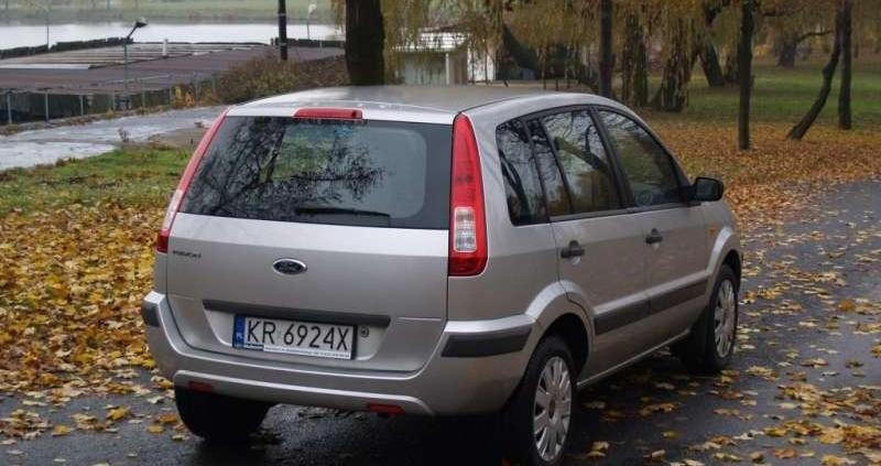 W sam raz do polskiej dżungli