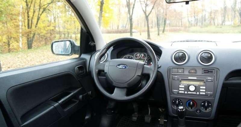 W sam raz do polskiej dżungli