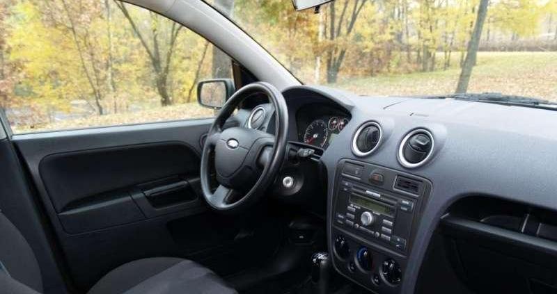 W sam raz do polskiej dżungli