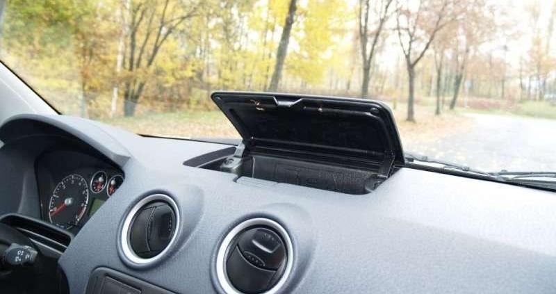 W sam raz do polskiej dżungli