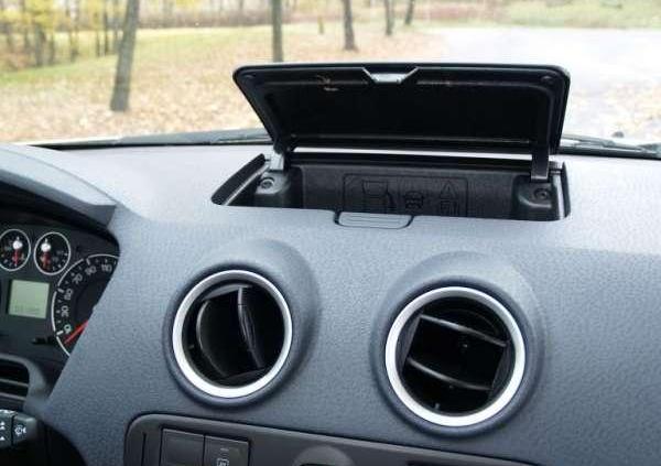 W sam raz do polskiej dżungli