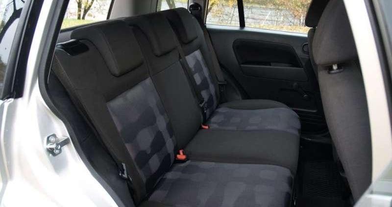 W sam raz do polskiej dżungli