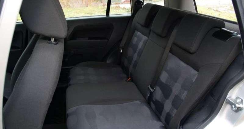 W sam raz do polskiej dżungli