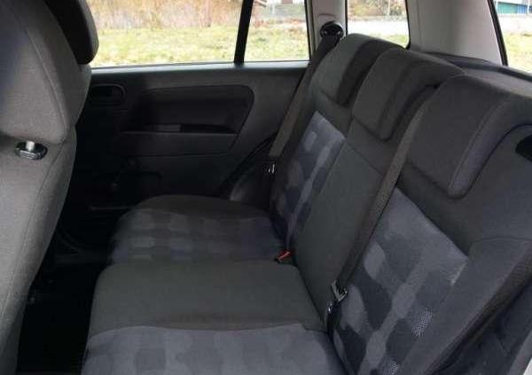 W sam raz do polskiej dżungli