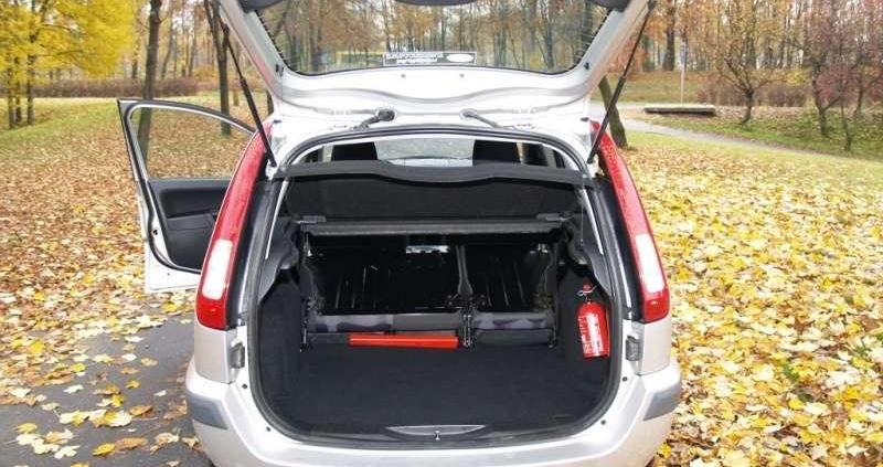 W sam raz do polskiej dżungli