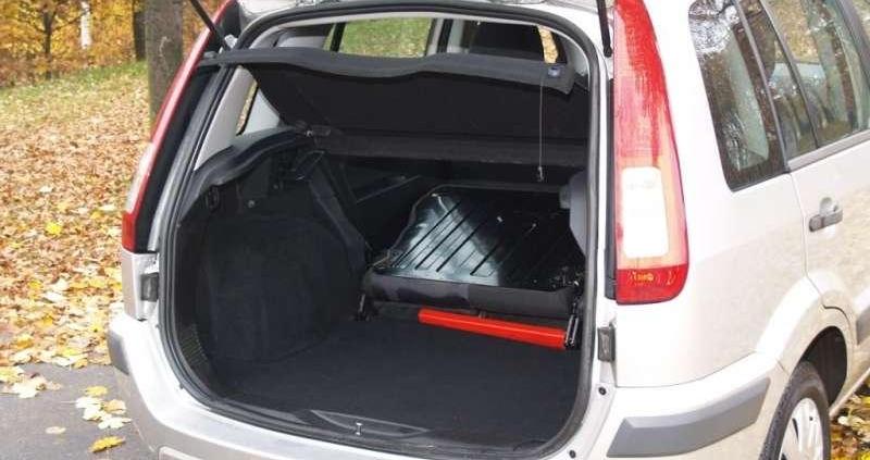 W sam raz do polskiej dżungli