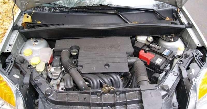 W sam raz do polskiej dżungli