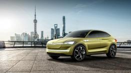 Oto pierwsza e-Skoda