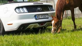 Ford Mustang Convertible 2.3 EcoBoost – galopująca legenda