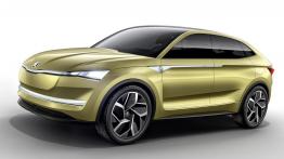 Oto pierwsza e-Skoda