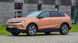 Platformy multienergetyczne - przełom w branży czy przejściowa moda? 