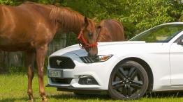Ford Mustang Convertible 2.3 EcoBoost – galopująca legenda