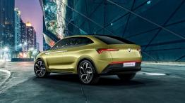 Oto pierwsza e-Skoda