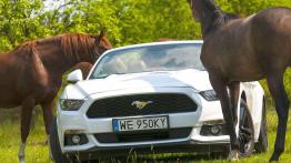 Ford Mustang Convertible 2.3 EcoBoost – galopująca legenda