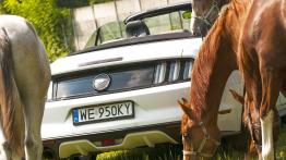 Ford Mustang Convertible 2.3 EcoBoost – galopująca legenda