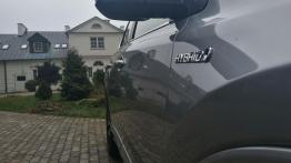 Toyota RAV4 – zima z hybrydą