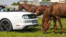 Ford Mustang Convertible 2.3 EcoBoost – galopująca legenda