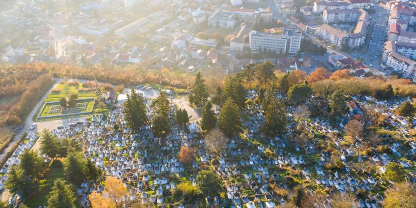 Jedziesz na cmentarz 1 listopada? Za ten błąd możesz dostać 500 zł mandatu
