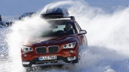 BMW X1 Edition Powder Ride - widok z przodu