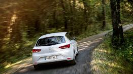 Seat Leon III TDI - widok z tyłu