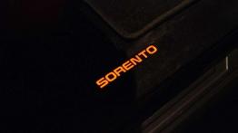 Z dużej chmury mały deszcz - Kia Sorento 2.2 CRDi