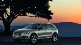 Audi Q5 - facelifting SUV-a z Ingolstadt