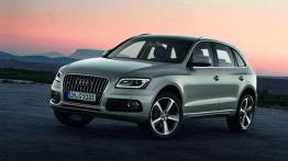 Audi Q5 - facelifting SUV-a z Ingolstadt
