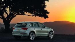 Audi Q5 - facelifting SUV-a z Ingolstadt