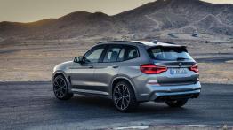 BMW X3 M i X4 M. Na tor czy do offroadu?