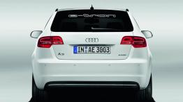 Audi A3 e-tron Study - tył - reflektory włączone