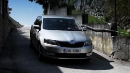 Rapid - wojna domowa w salonach Skody?