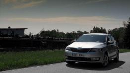 Rapid - wojna domowa w salonach Skody?