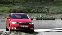 Rapid - wojna domowa w salonach Skody?