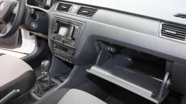 Rapid - wojna domowa w salonach Skody?